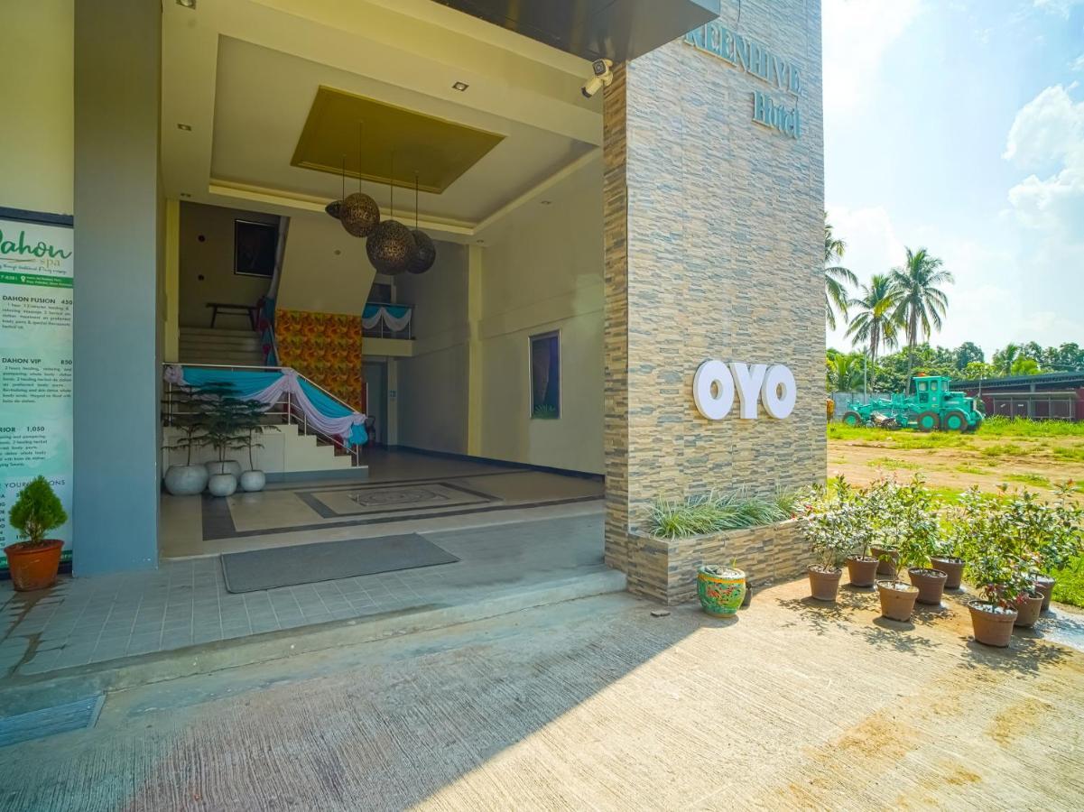 Capital O Oyo 785 The Greenhive Hotel Ibaan Exteriér fotografie